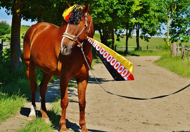 拜仁26／27赛季主场球衣谍照：红色基调搭配领口袖口金色线条