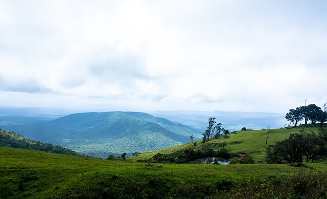 传闻观察：阿森纳被媒体和吉拉西与马特塔联系在一起